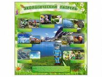 Стенд "Экологический патруль" - «globural.ru» - Брянск