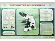 Электрифицированный стенд "Устройство микроскопа и правила работы c ним" - «globural.ru» - Брянск