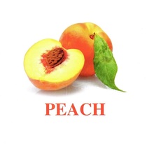 Карточки Домана Полный набор на английском языке (62 комплекта). - «globural.ru» - Брянск