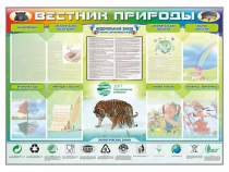 Стенд-уголок "Вестник природы" (вариант 1) - «globural.ru» - Брянск
