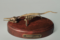 Модель скелета ихтиозавра Ichthyosaurus - «globural.ru» - Брянск