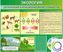 Стенд "Экология. Организация и функционирование сообществ" - «globural.ru» - Брянск