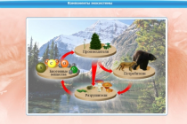 Интерактивные курсы. Биология 7 класс. Базовый - «globural.ru» - Брянск