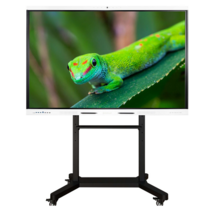 Интерактивный комплекс Geckotouch ​​​​​​​65RK - «globural.ru» - Брянск
