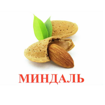 Карточки Домана Полный набор на русском языке (67 комплектов). - «globural.ru» - Брянск