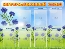 Стенд информационный с 7 карманами - «globural.ru» - Брянск