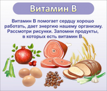 Стенд "Витамин В" - «globural.ru» - Брянск
