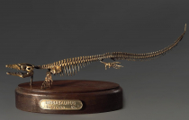 Модель скелета мозазавра Mosasaurus - «globural.ru» - Брянск