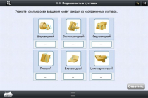 Интерактивные курсы. Биология 8 класс. Расширенный - «globural.ru» - Брянск