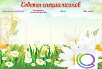 Стенд "Советы специалистов" - «globural.ru» - Брянск
