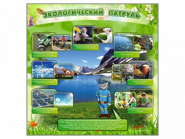 Стенд "Экологический патруль" - «globural.ru» - Брянск