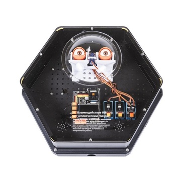 Модуль интерактивный с искусственным интеллектом "Наблюдатель" - «globural.ru» - Брянск