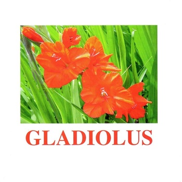 "Flowers-1" ("Цветы-1") английские карточки Домана - «globural.ru» - Брянск