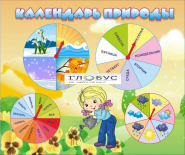Стенд "Календарь природы" (вариант 1) - «globural.ru» - Брянск