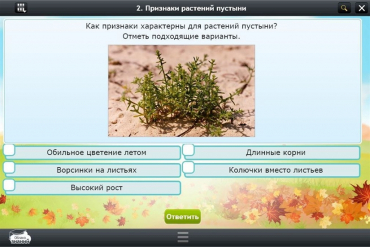 Интерактивные курсы. Окружающий мир 3 класс. Базовый - «globural.ru» - Брянск