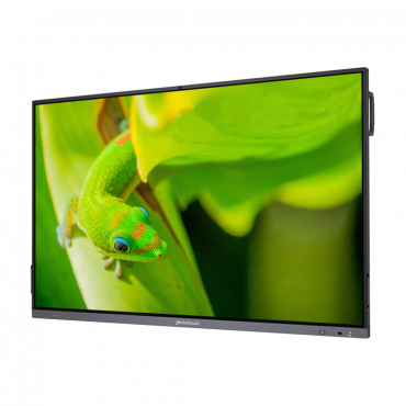 Интерактивный программно-аппаратный комплекс Geckotouch Interactive IP86GT-С  в комплекте с настенным креплением - «globural.ru» - Брянск