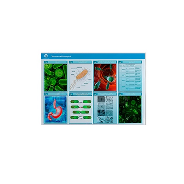 Стенд-планшет светодинамический «Изучение экологии бактерий» - «globural.ru» - Брянск