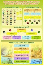 Стенд "Классификация животного мира" - «globural.ru» - Брянск